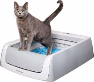 The 6 Best Self Cleaning Litter Boxes 2020