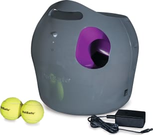 The 7 Best Automatic Ball Launchers For Dogs 2020