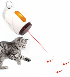 The 10 Best Robotic Toys For Cats 2020