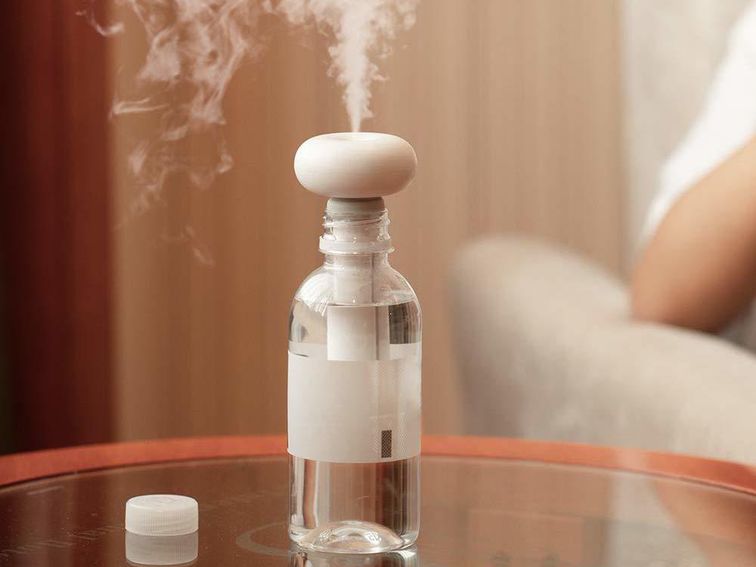 Best portable humidifiers for dry skin, sinus relief and sore throats in 2020