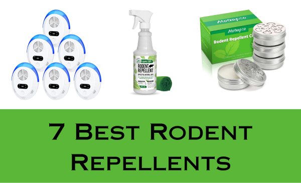 The 7 Best Rodent Repellents in 2024: Affordable Picks