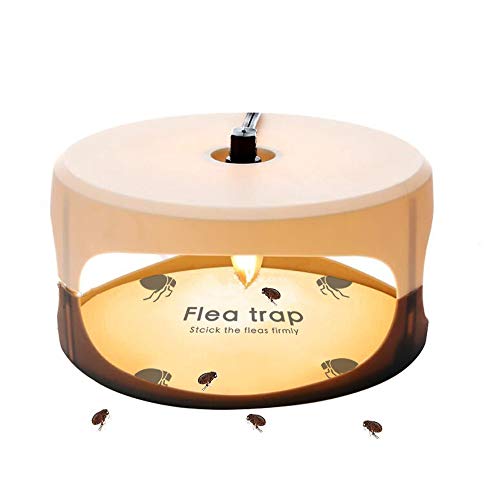 Top 16 Best Flea Traps 2022 [Expert’s Reviews]