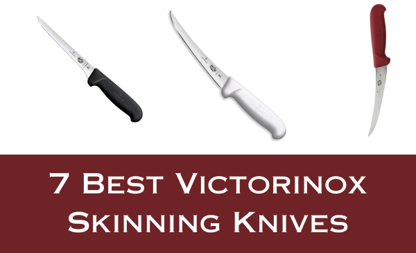 7 Best Victorinox Skinning Knives in 2024
