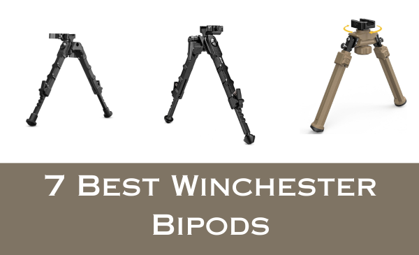 7 Best Winchester Bipods in 2024: Best Options for Every Need