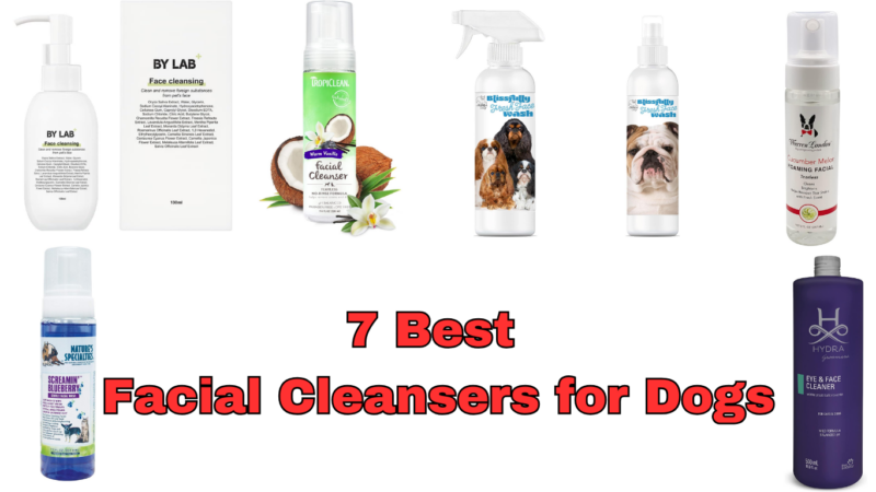 7 Best Facial Cleansers for Dogs in 2023: Pick the Right One