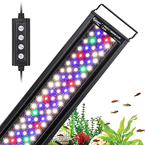 Top 19 Best Freshwater Lights For Aquariums 2022 [Expert’s Reviews]