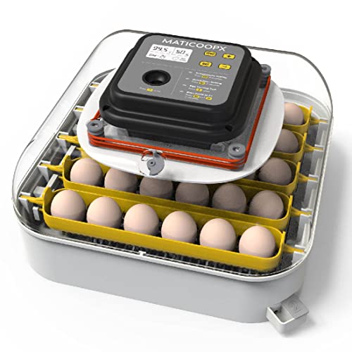 Top 14 Best Egg Incubators 2022 [Expert’s Reviews]