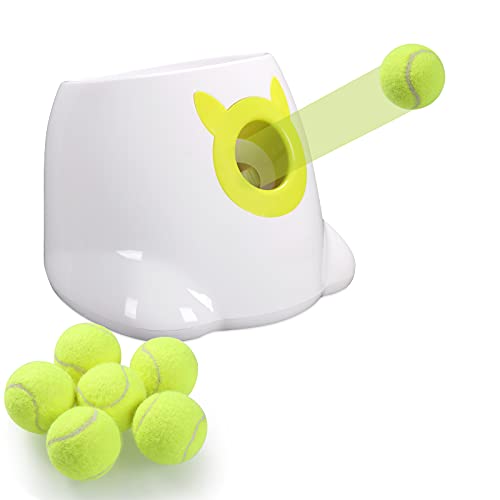 Top 14 Best Automatic Dog Ball Launchers 2022 [Expert’s Reviews]
