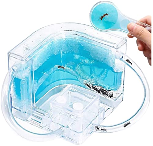 Top 19 Best Ant Farms For Adults 2022 [Expert’s Reviews]
