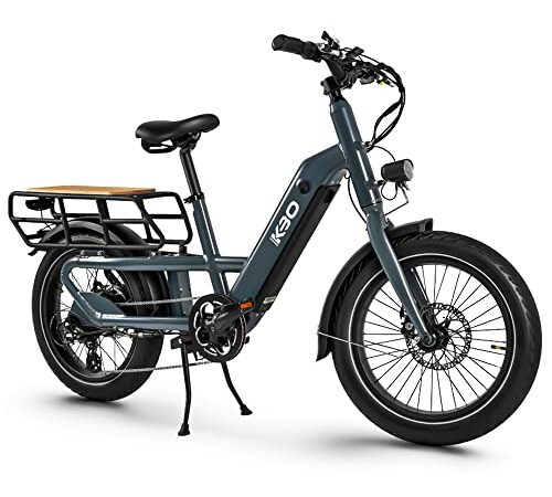 YinZhiBoo SMLRO Electric Bike E-Bike Fat Tire Electric Bicycle 26" 4.0 Adults Ebike 1000W Removable 48V/13AH Battery Shimano 21-Speed Shifting for Trail Riding/Excursion/Commute UL and GCC Certified