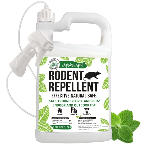 Top 15 Best Rodent Repellents 2022 [Expert’s Reviews]