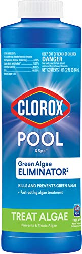 Top 18 Best Algaecide For Swimming Pools 2022 [Expert’s Reviews]