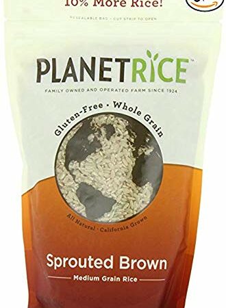 Planet Rice Sprouted Brown Gaba Rice for Meal Prep and Bulk Cooking - Gluten-Free, Vegan, Paleo, Non-Allergenic with 64% more Fiber - Soft and Chewy Texture - 25 Pounds