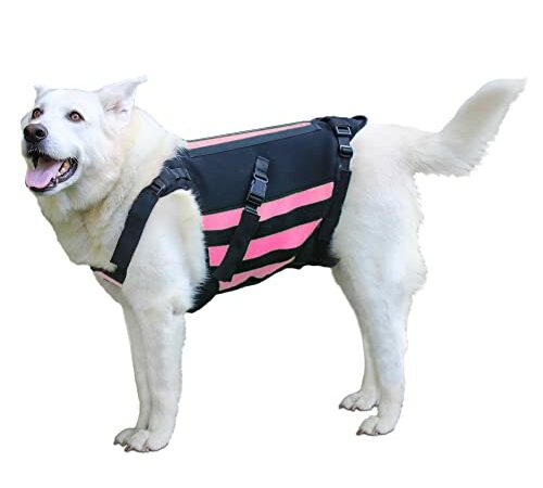 NeoAlly Sturdy Dog Lift Harness Full Body Support & Mobility Aids System - 5-in-1 Lifting Support, Carry Sling, Vest Harness, Back Brace, and Anxiety Vest - Endorsed by Shark Tank (Large)