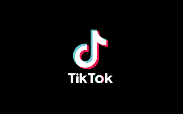 TikTok in the US Would Be Banned by Congressional Bills