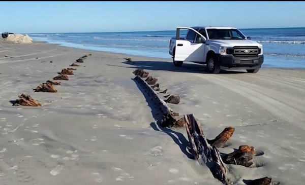 After the hurricane, a mysterious structure was discovered on the beach
