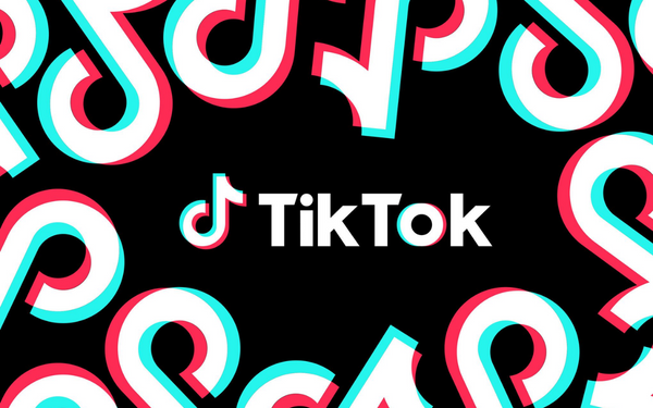 Devices used in the US House of Representatives can no longer access TikTok