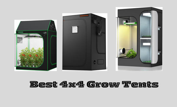 8 Best 4×4 Grow Tents in 2024: Best Options for Every Need