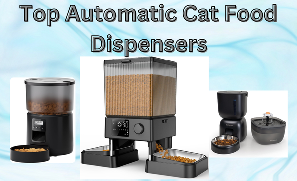 Top 10 Automatic Cat Food Dispensers of 2024: Convenient Feeding Solutions for Your Feline Friend