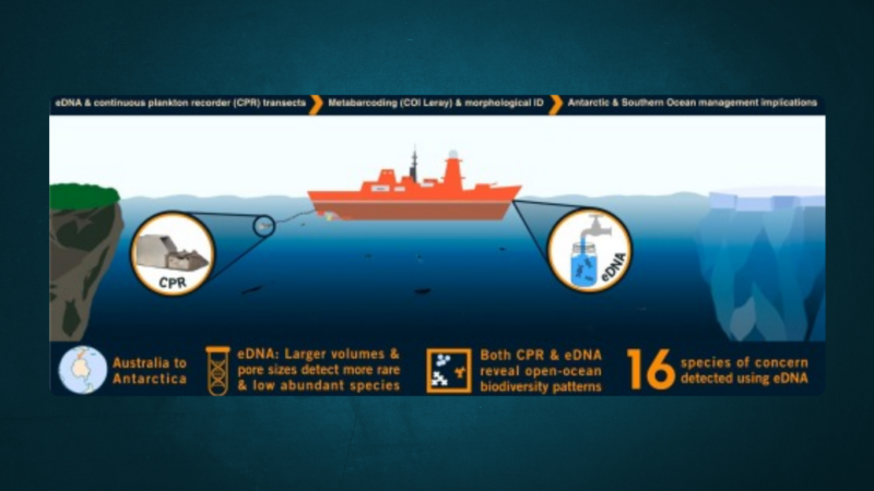 New DNA Technology Expected to Revolutionize Southern Ocean Marine Monitoring and Non-Native Species Detection